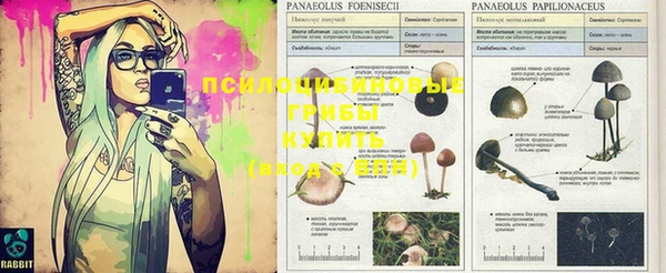 бошки Балахна