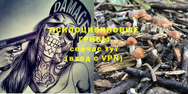 бошки Балахна