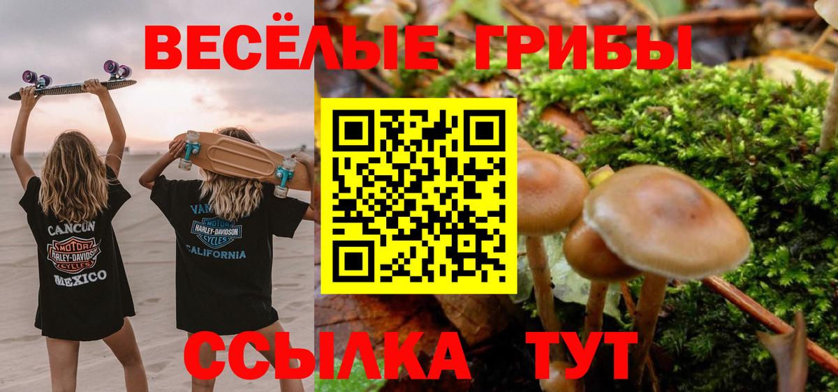 Псилоцибиновые грибы прущие грибы Бузулук